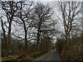 View along Shotley Grove Road