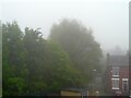 A foggy morning in June