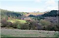 Across Cockerdale