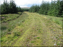 NS6816 : Forest track near Mid Burn by Chris Wimbush