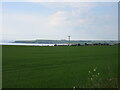 Large field above Lunan