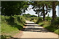 Road from Chiddinglye Farm