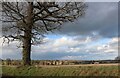 Field by Summerswood Lane, Ridge