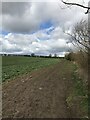 Long Buckby bridleway