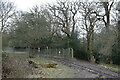 Footpath beside the deer enclosure