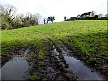 H4772 : Muddy field, Cranny by Kenneth  Allen