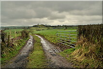 H5366 : Lane to field, Laragh by Kenneth  Allen