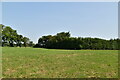 Farmland near Downe