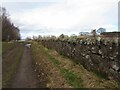 Wall on Wormit Hill, Woodhaven