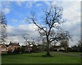 Village Green, Westborough