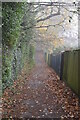 Misty footpath