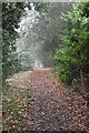 Autumnal footpath