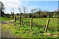 Dunteige Townland