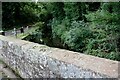 NY3749 : Mill Stream viewed over bridge parapet by Luke Shaw