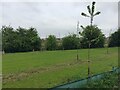 SP3064 : Tree-planted land adjoining new residential development, Myton, Warwick by Robin Stott