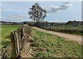 Public bridleway at Burys Hill