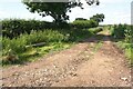 Farmland track east of Cardewlees Farm