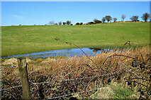 H5375 : Slight flooding in a field, Oxtown by Kenneth  Allen