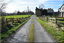 H5375 : Fernagh Road, Drumnakilly / Fernagh by Kenneth  Allen