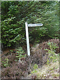 NJ2346 : Sign to Cairn Cattoch by Anne Burgess