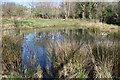 Pond east of A469, Bargoed Woodland Park