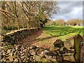 Dry stone wall along Ulverscroft Lane