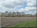 Ploughed field, Frinsted