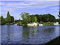 The River Thames by Fry