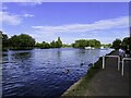 The Thames Path by the River Thames