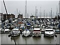 Hull Marina, Kingston upon Hull