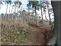 View below Grinshill, Shropshire