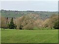 Fields above Hampsthwaite