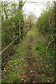 Path at Totnes