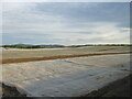 Covered fields near Gagie