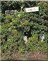 Direction Sign ? Signpost at Hoaden in Ash parish