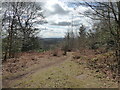 View from part of Grinshill