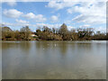 Ifield Mill Pond, Crawley