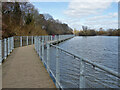 Boardwalk, Ifield Mill Pond, Crawley