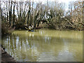 Bewbush Water Gardens, Crawley