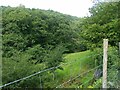 A field squeezed in between the river and the road