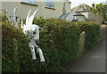 Pegasus in the hedge, Totnes