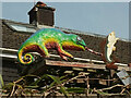 Chameleon, Totnes