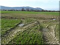 Arable field near Hanley Swan