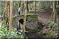 The Bowden Burn