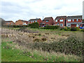 Houses on Heath Drive, St Peter The Great