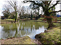 Dobbins Pond, Ifield, Crawley