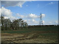 Oilseed rape and electricity pylon