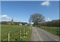 Holly Hill Farm, Dargate