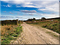 Bridleway on Holcombe Moor