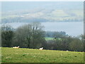 Overlooking Blagdon Lake